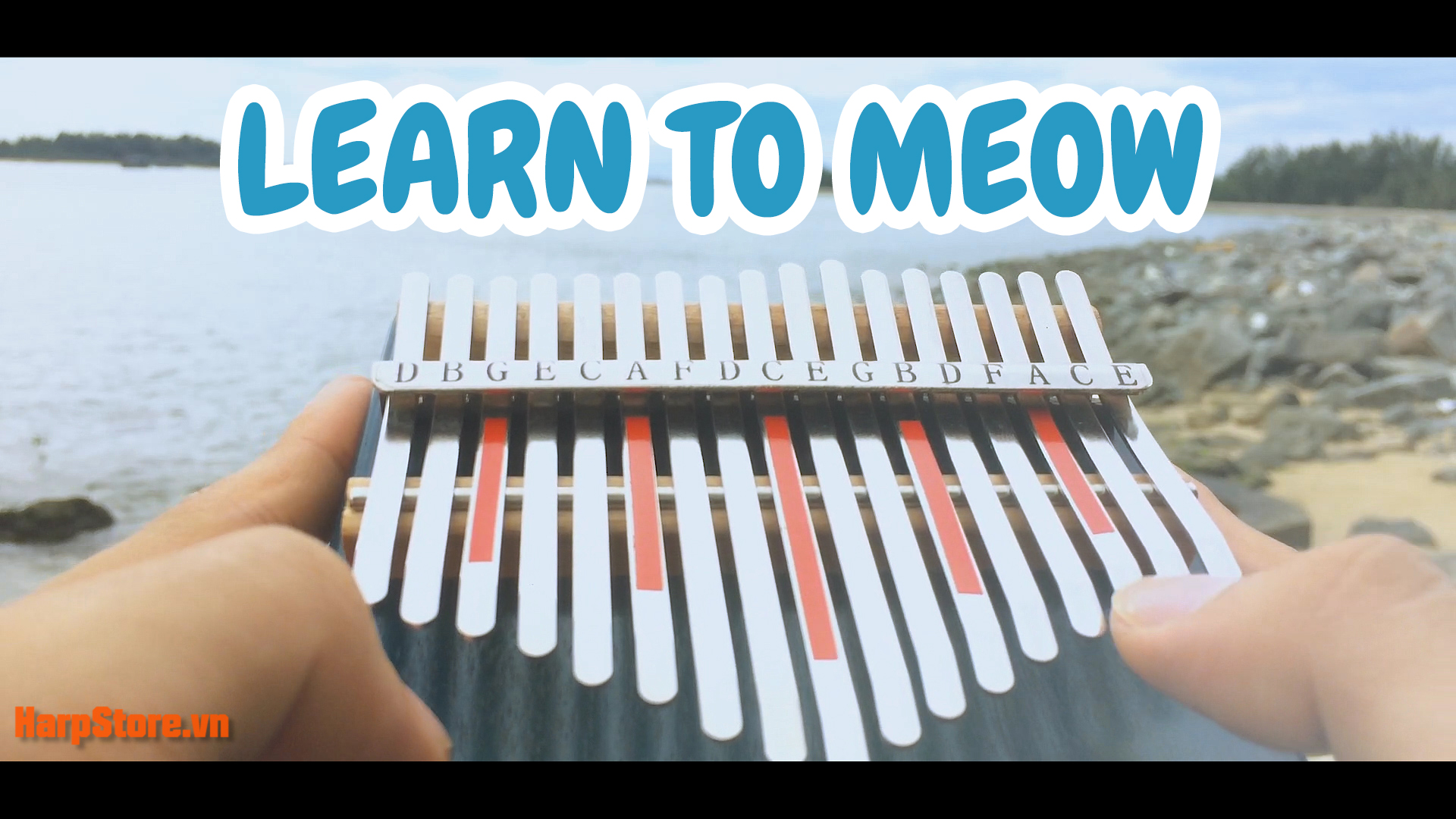 LEARN TO MEOW THUMBNAILS