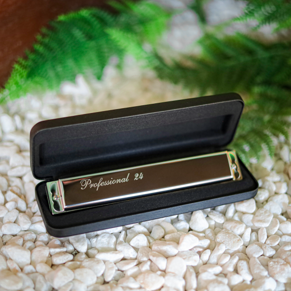 Kèn Harmonica tremolo Professional 24 - Ảnh 2