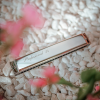 Kèn Harmonica tremolo Professional 24